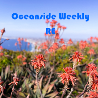 Oceansideweekly RE